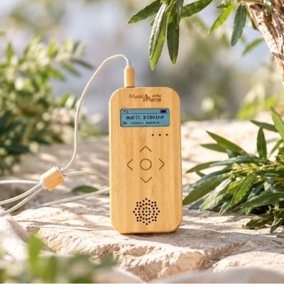Bamboo M, lecteur Musique des plantes