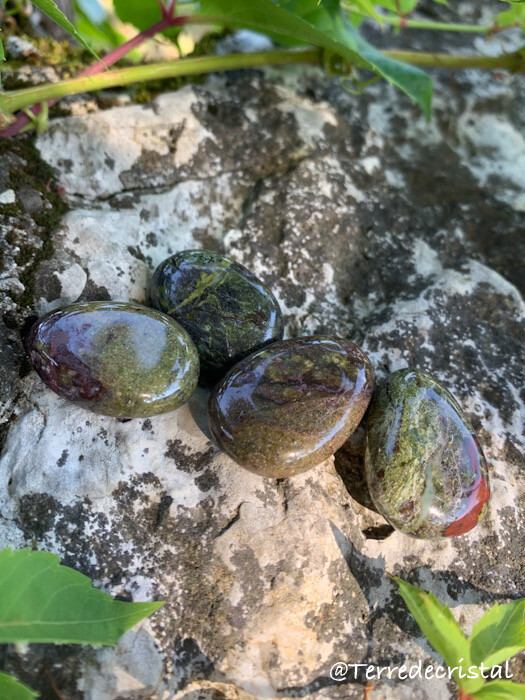 Epidote/ Jaspe sang de dragon goutte