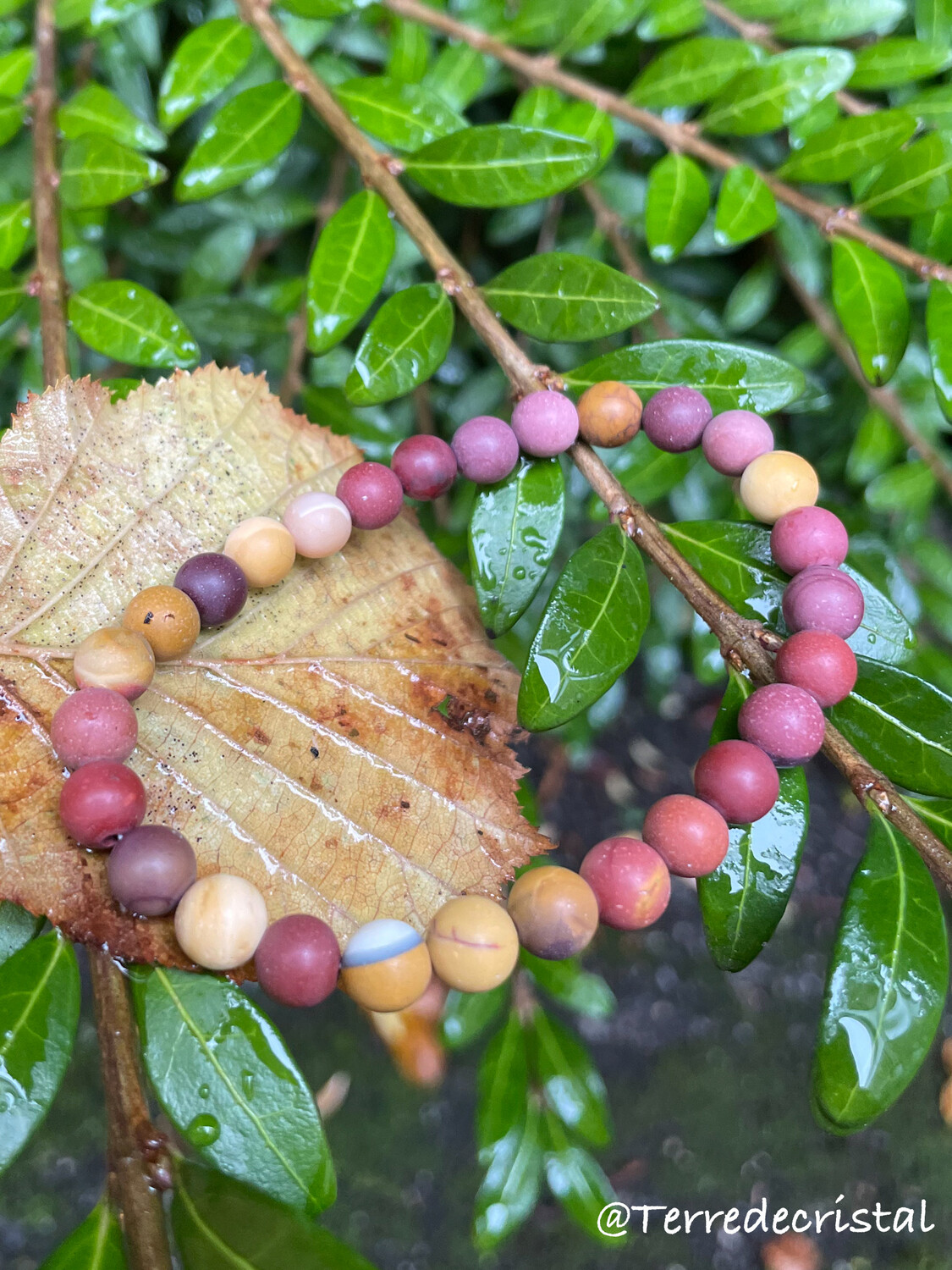 Bracelet en Jaspe Mokaïte mat 6 et 8 mm