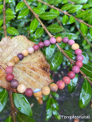 Bracelet en Jaspe Mokaïte mat 6 et 8 mm