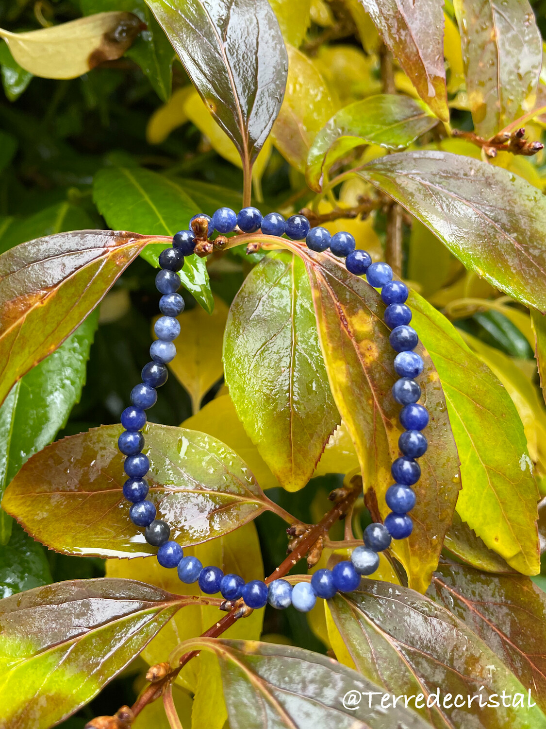 Bracelet en Sodalite 4 mm Bracelet en Sodalite 4 mm