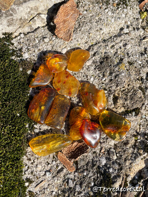 Ambre roulée | 2-3 cm, fine Ambre roulée | 2-3 cm, fine
