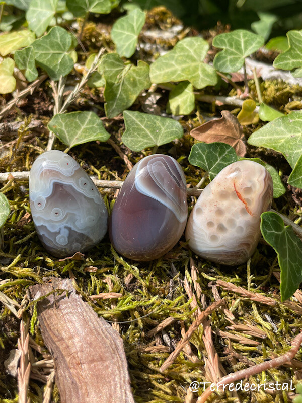 Agate du Botswana percée | superbe qualité