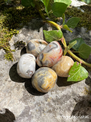 Agate crazy lace jaune roulée