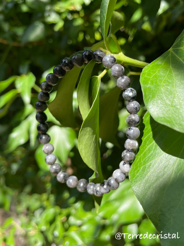 Bracelet en Lavakite 6, 8 et 10mm