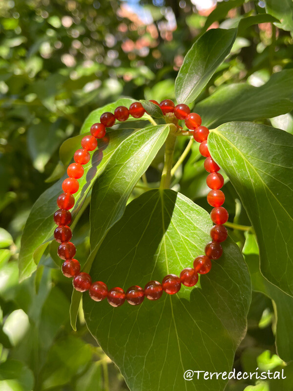 Bracelet en Cornaline foncée 6mm