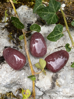 Aventurine rouge (Muscovite) percée Aventurine rouge (Muscovite) percée