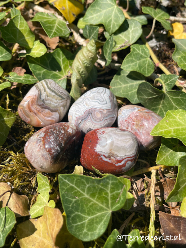 Agate crazy lace roulée