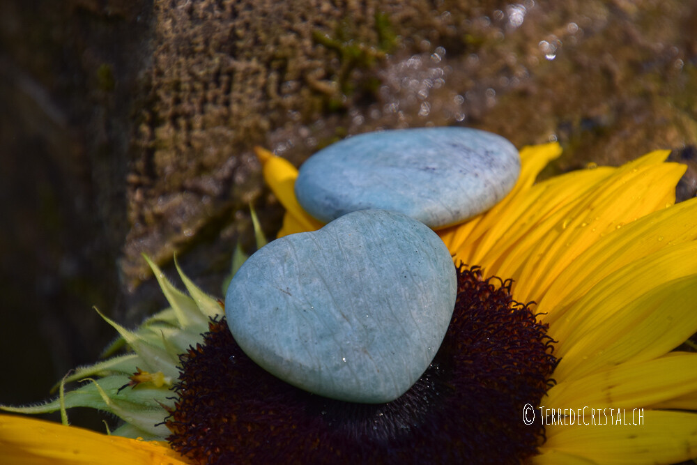 Coeur mat en Amazonite