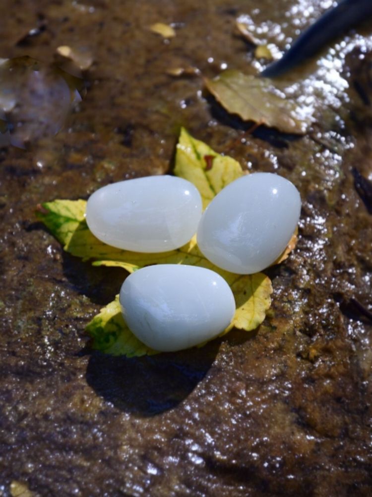 Jade blanc roulé Jade blanc roulé