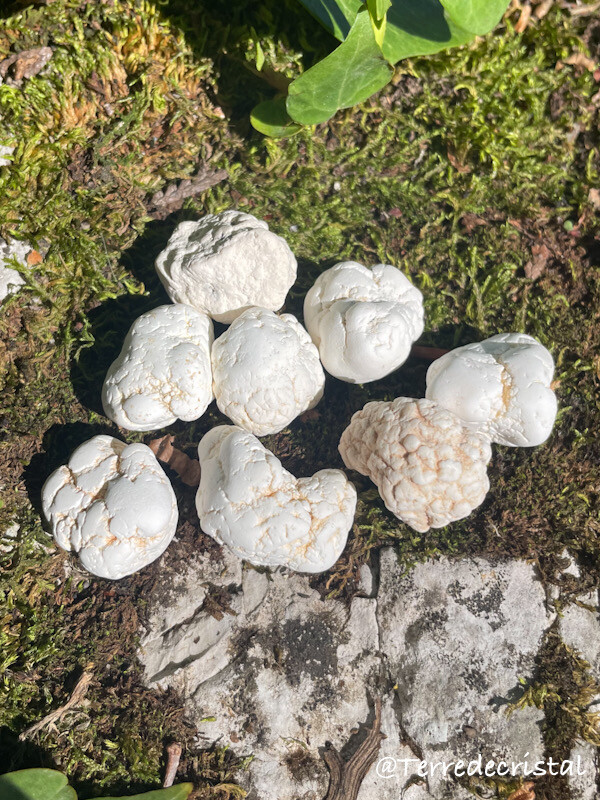 Nodule de Magnésite roulé