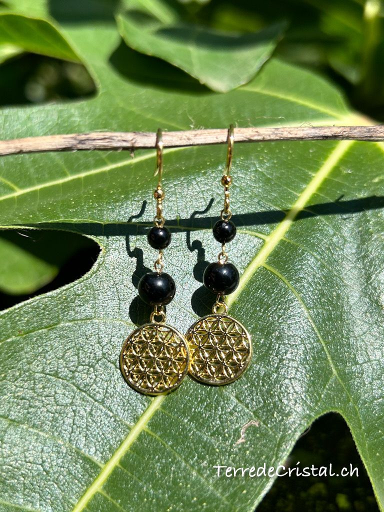 Boucles d'oreilles "Harmonisation de soi"