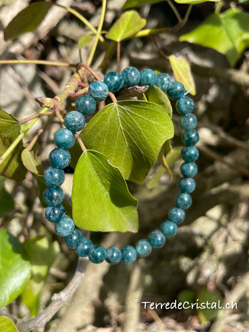 Bracelet en Apatite verte 6mm