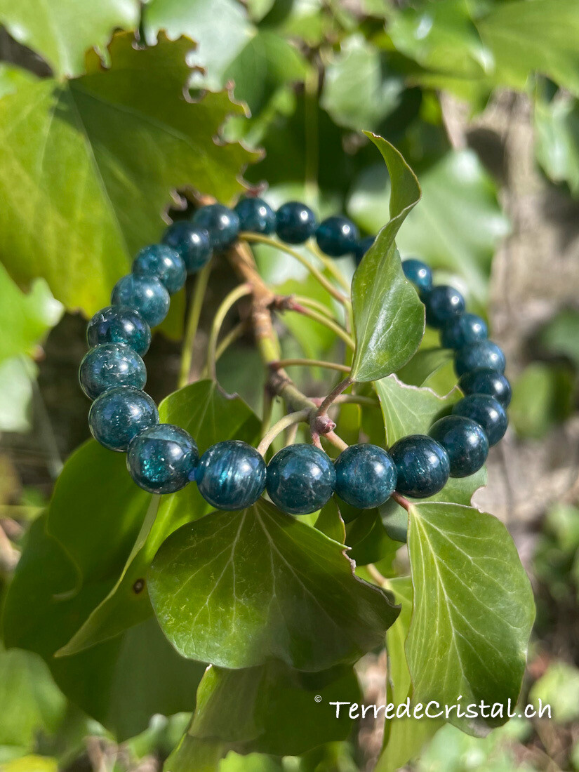 Bracelet en Apatite verte 8 mm