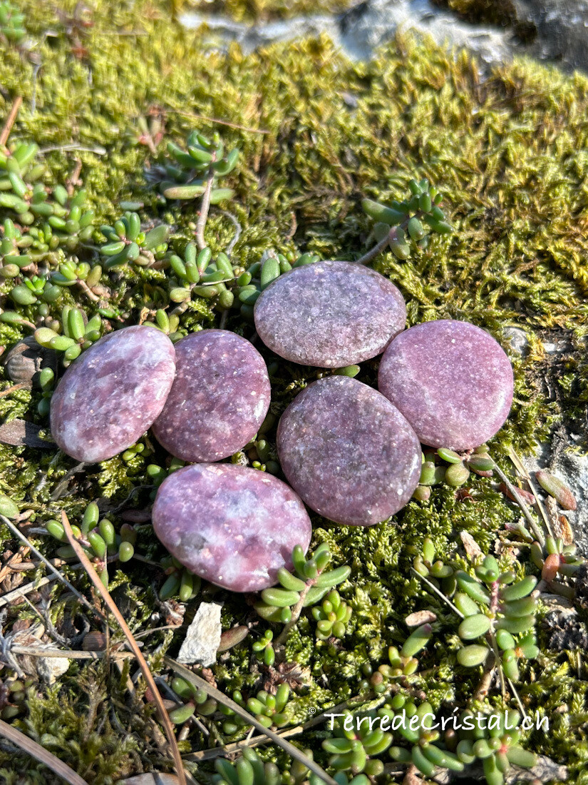 Lépidolite plate Lépidolite plate