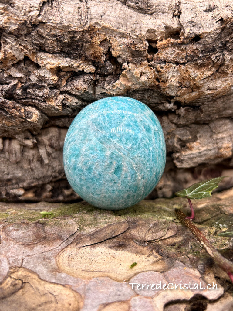 Galet en Amazonite