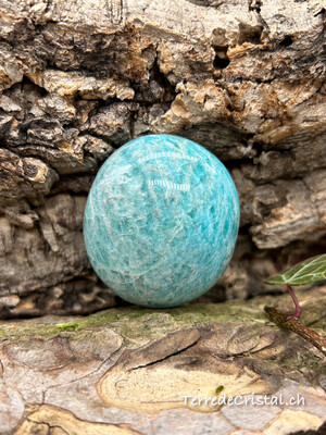Galet en Amazonite