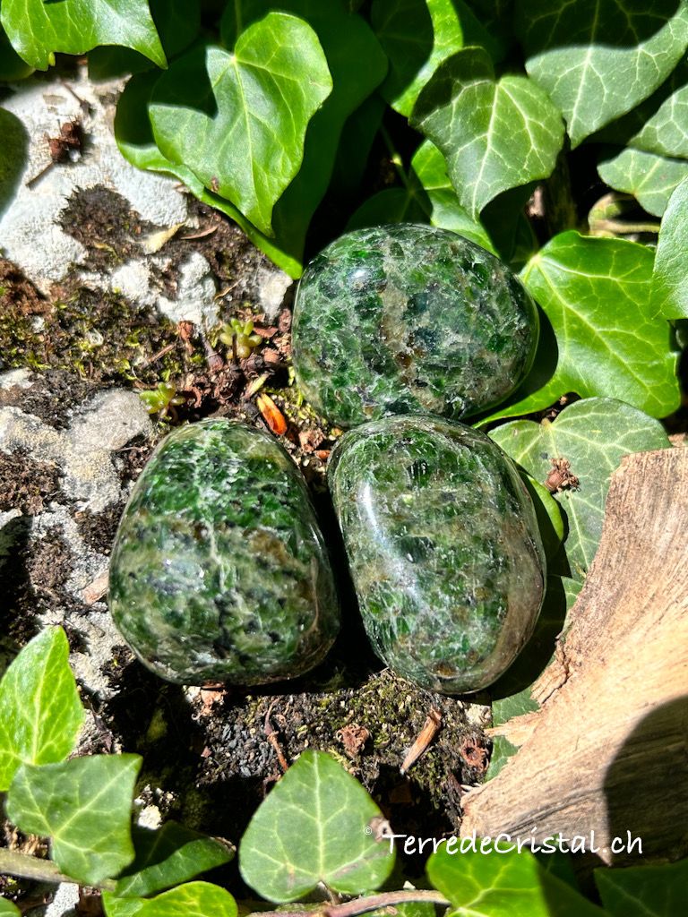 Diopside roulée