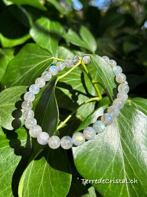 Bracelet en Labradorite 6mm