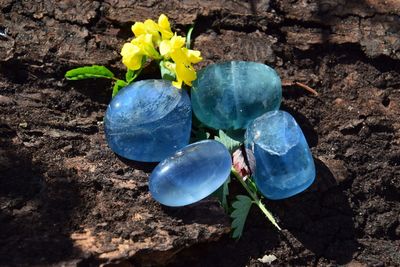 Fluorite bleue transparente roulée