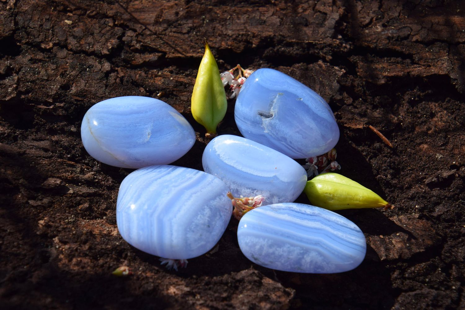 Calcédoine bleue rubanée roulée