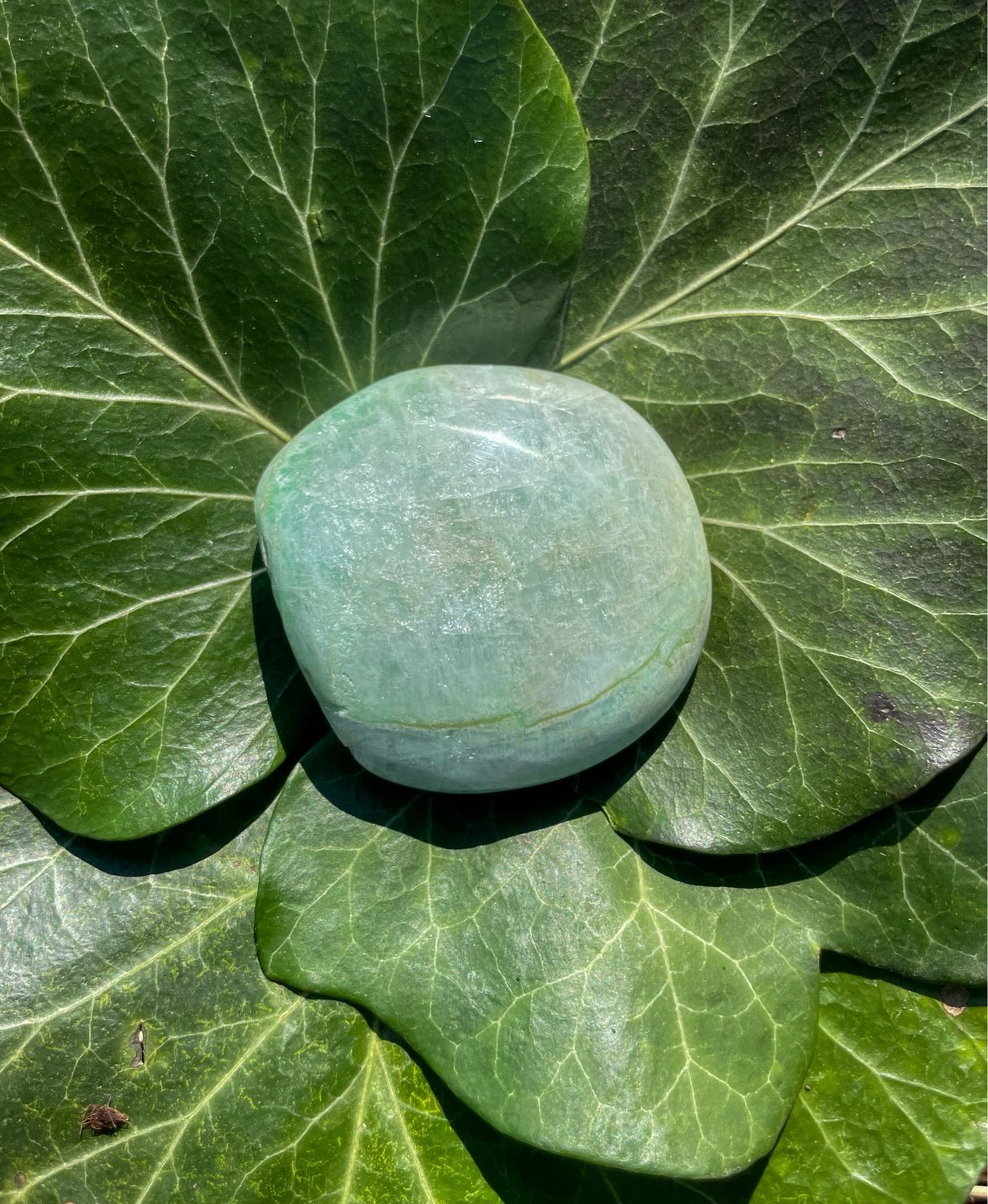 Galet en Amazonite