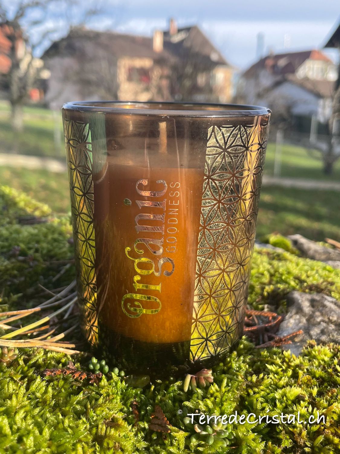 Bougie Organic Goodness | Citronnelle et Epices