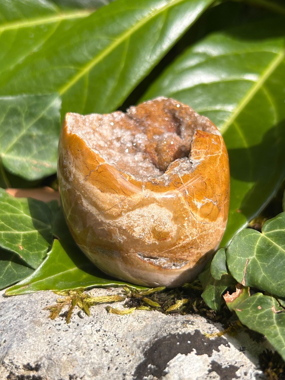 Menhir en Bois fossilisé druze