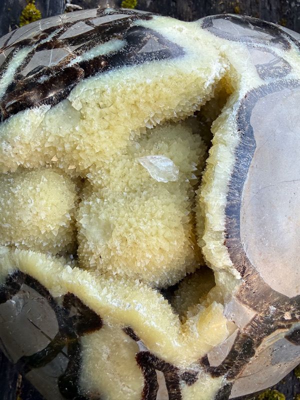 Cœur XL en Septaria et Calcite jaune