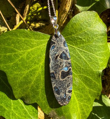 Paire de pendentifs d'amitié en Palmier Fossilisé