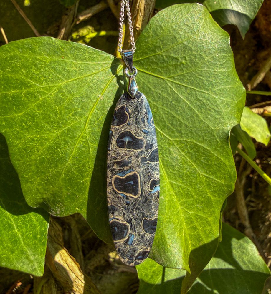Paire de pendentifs d'amitié en Palmier Fossilisé