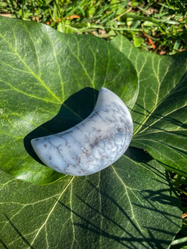 Lune en Agate dendritique