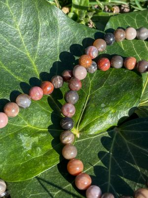 Rang de Bois fossilisé de Birmanie taille à choix Rang de Bois fossilisé de Birmanie taille à choix