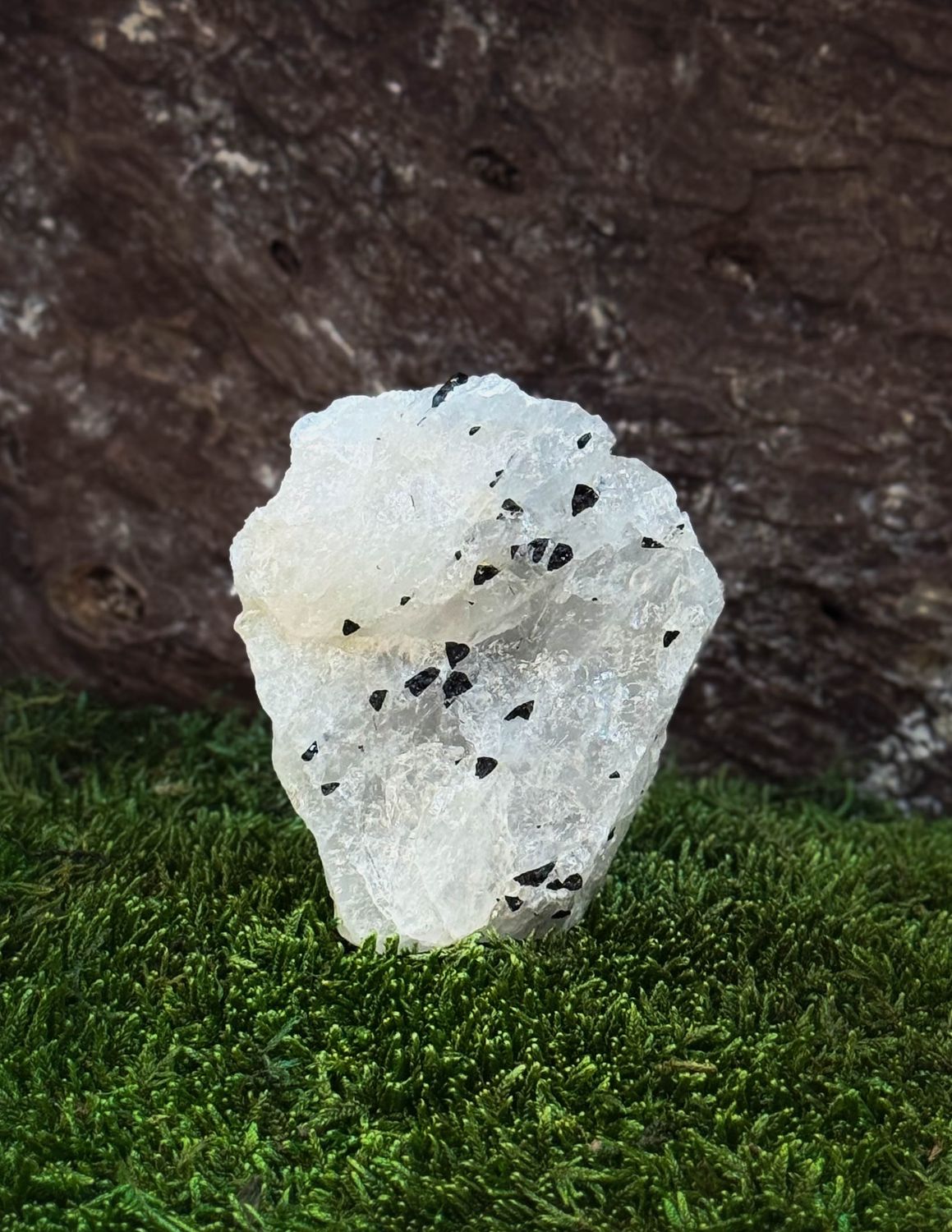Menhir en Quartz tourmaline brut