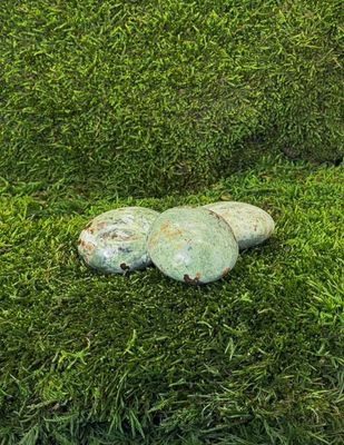 Galet en Chrysoprase