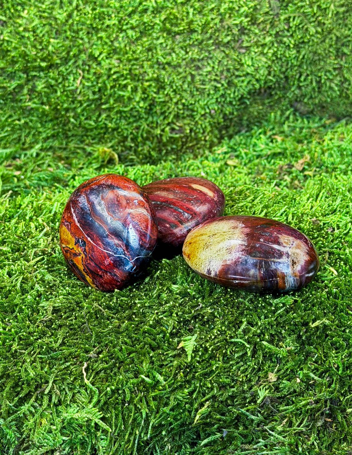 Galet en Bois fossilisé