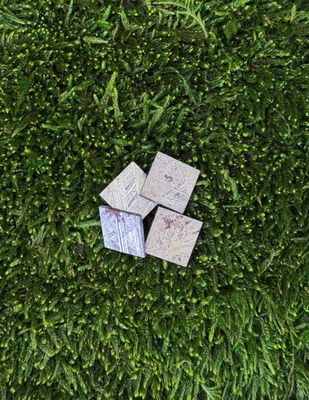 Muonionalusta | Météorite