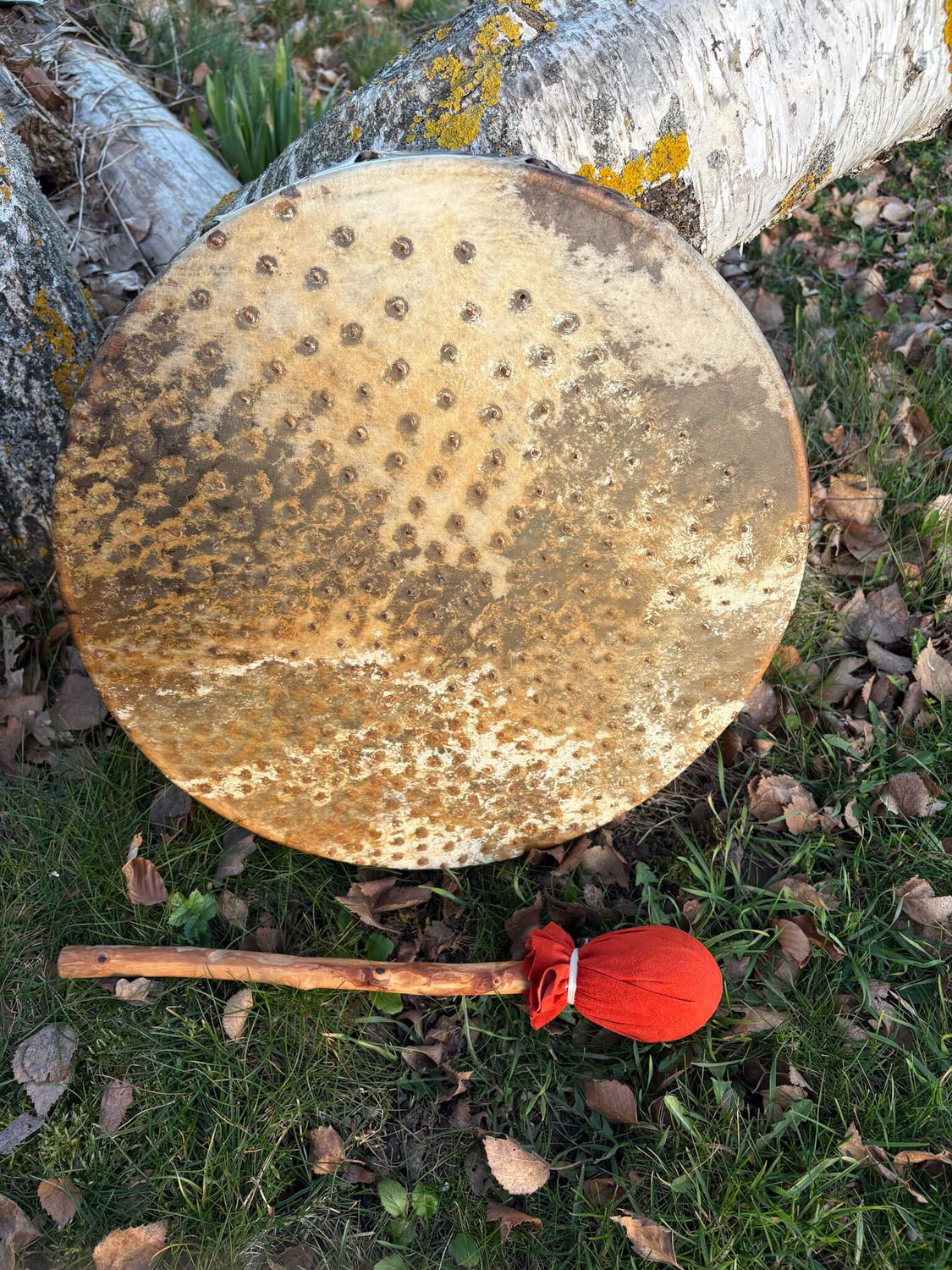 Tambour chamanique en peau d'Autruche