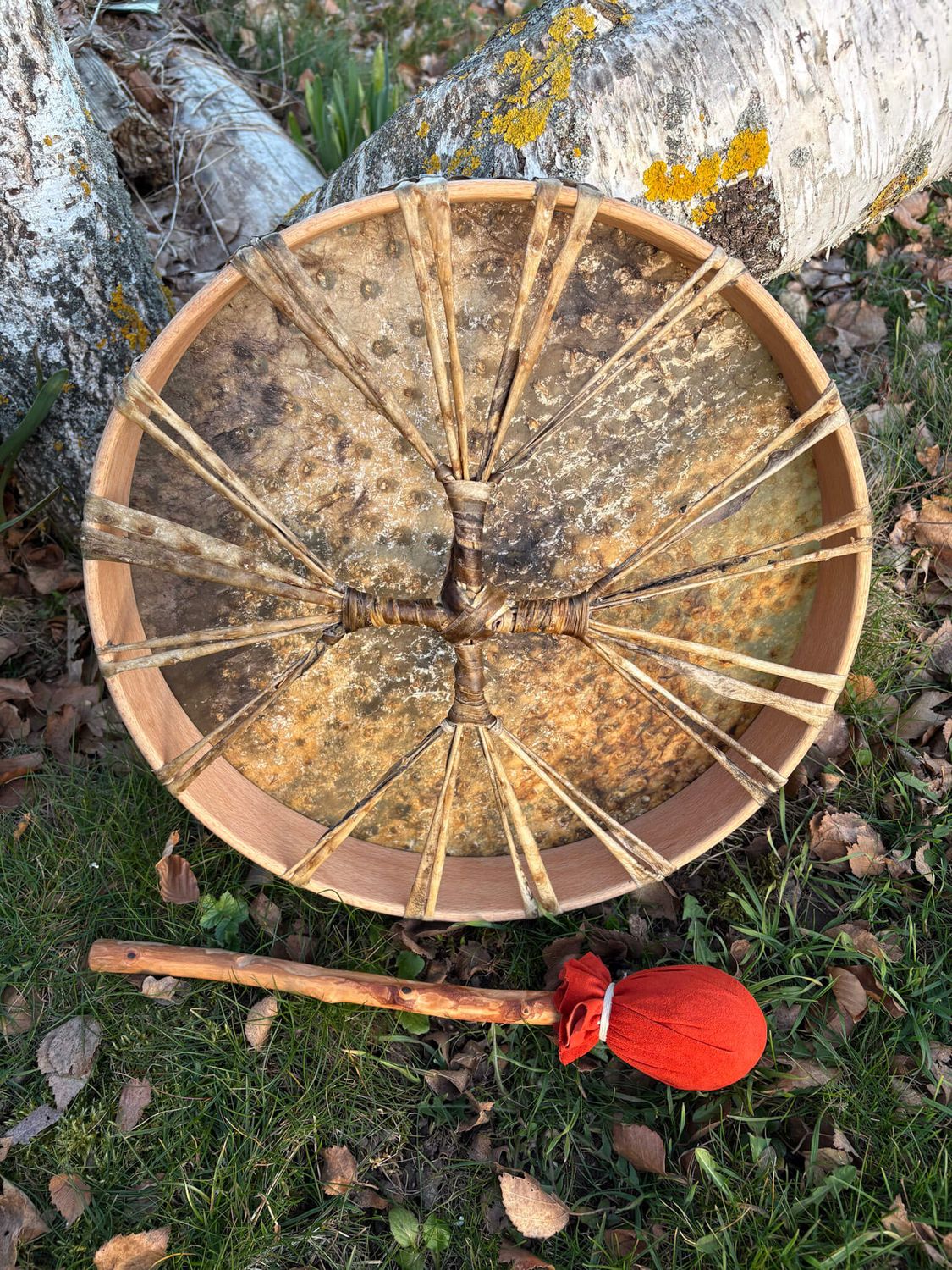 Tambour chamanique en peau d'Autruche