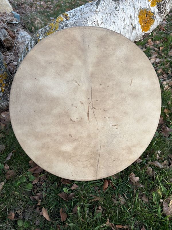 Tambour océan en Biche et Cerf