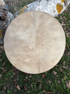 Tambour océan en Biche et Cerf