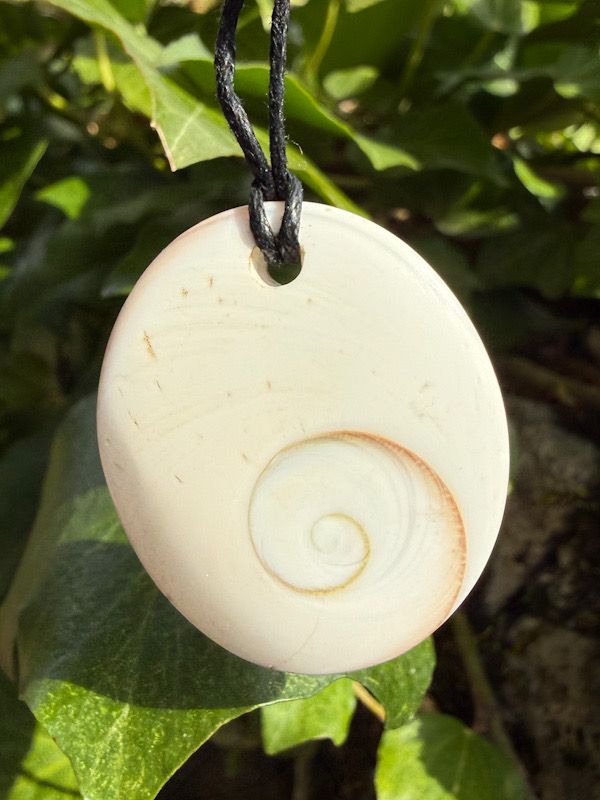 Œil de Sainte-Lucie percé