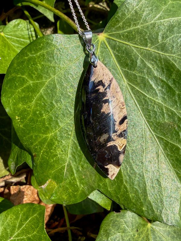 Pendentif  en Palmier Fossilisé