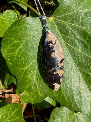 Pendentif  en Palmier Fossilisé