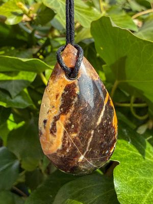 Pendentif en Palmier Fossilisé