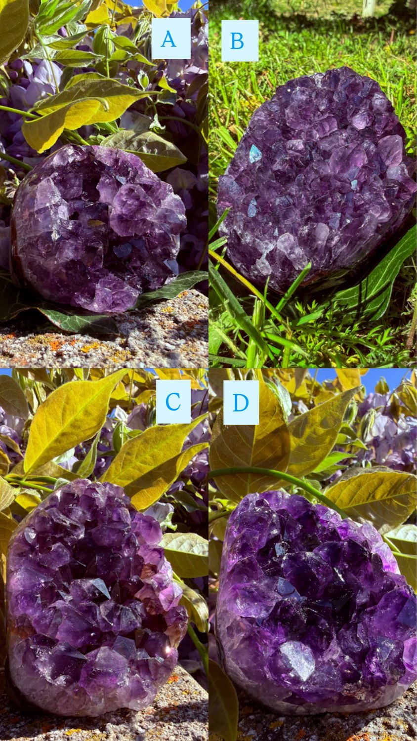 Géode d'Améthyste arrondie à choix