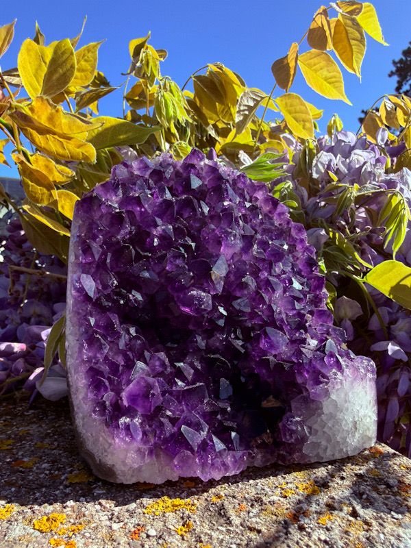 Géode d'Améthyste fleur