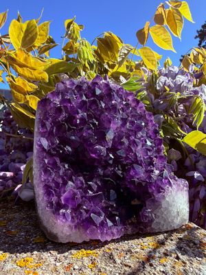 Géode d'Améthyste fleur