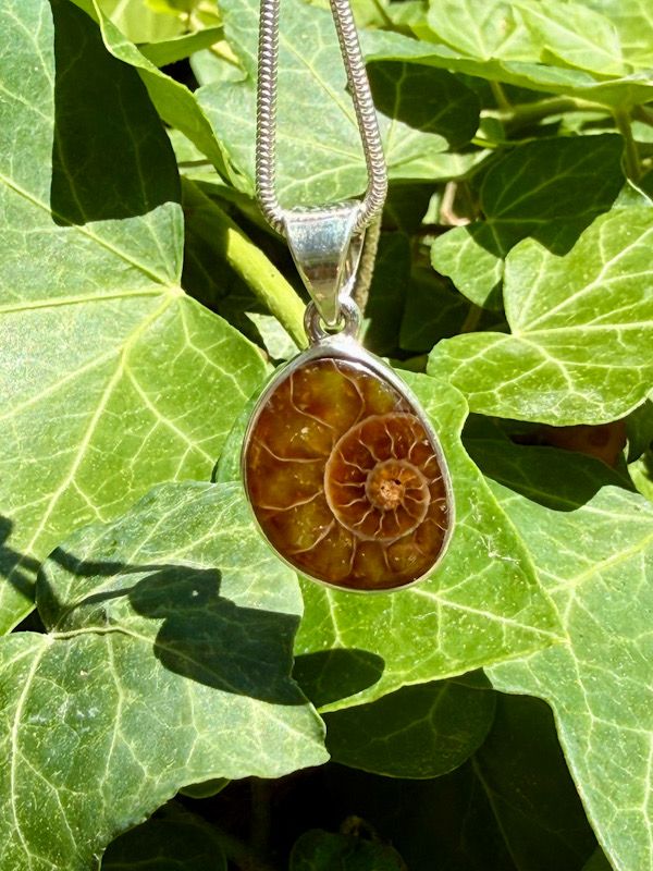 Pendentif en Ammonite