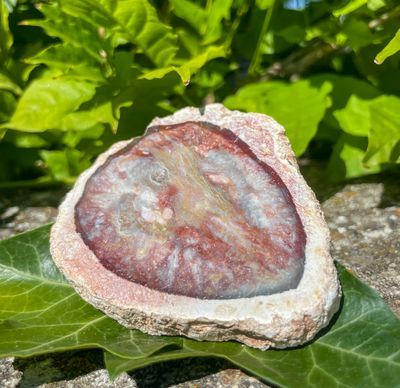 Bois fossilisé rouge | tranches | lot 4